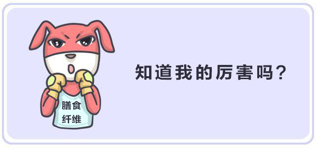 纖維時代，未來已來