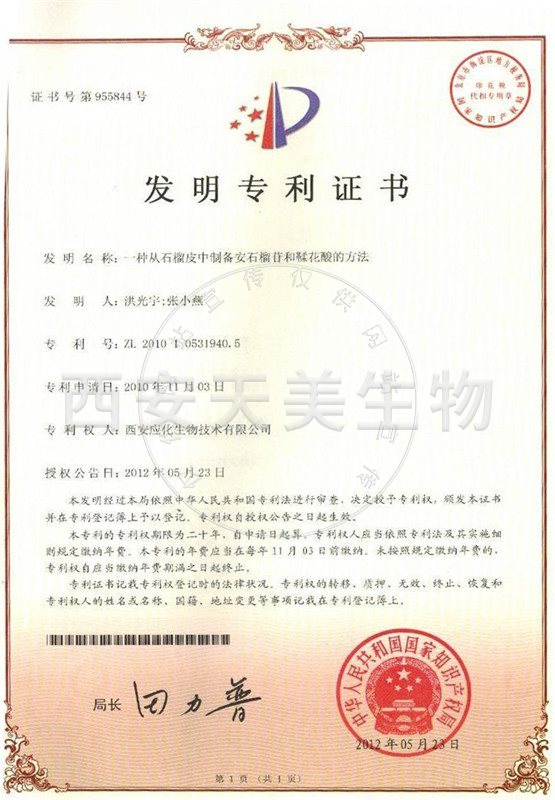 鞣花酸-專(zhuān)利